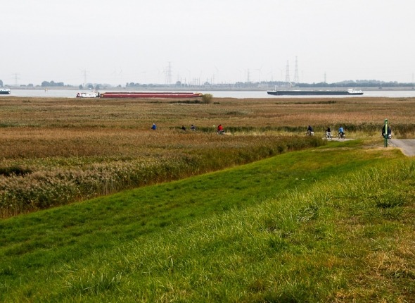 Preview van kaart: Natuurpakket Westerschelde