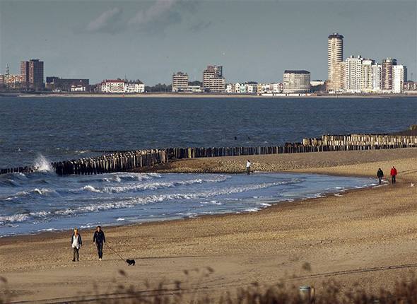 Preview van kaart: PFAS-data Westerschelde